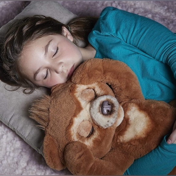 Cuddly Brown Bear Plush Toy - Picture 15 of 17